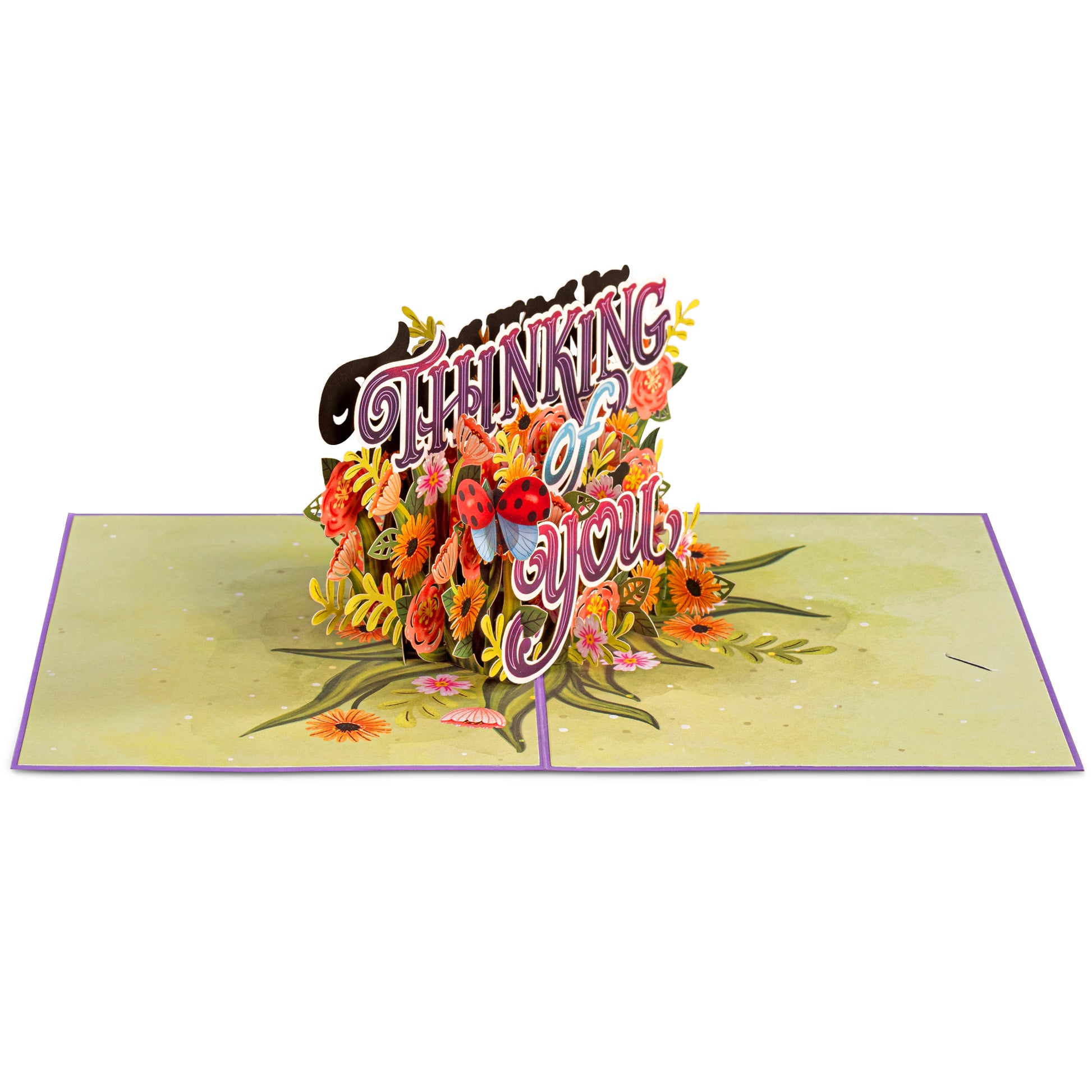 Thinking Of You Pop Up Card - Paper Love