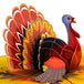 Thanksgiving Turkey Pop Up Card - Paper Love