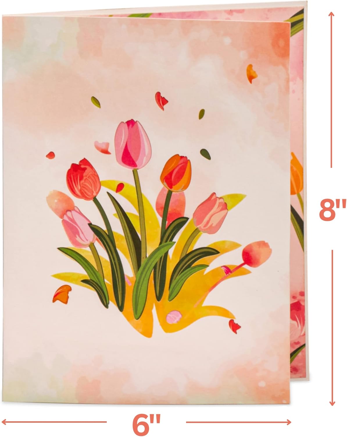 Tulip Plant Pop Up Card - Frndly 8"x6"