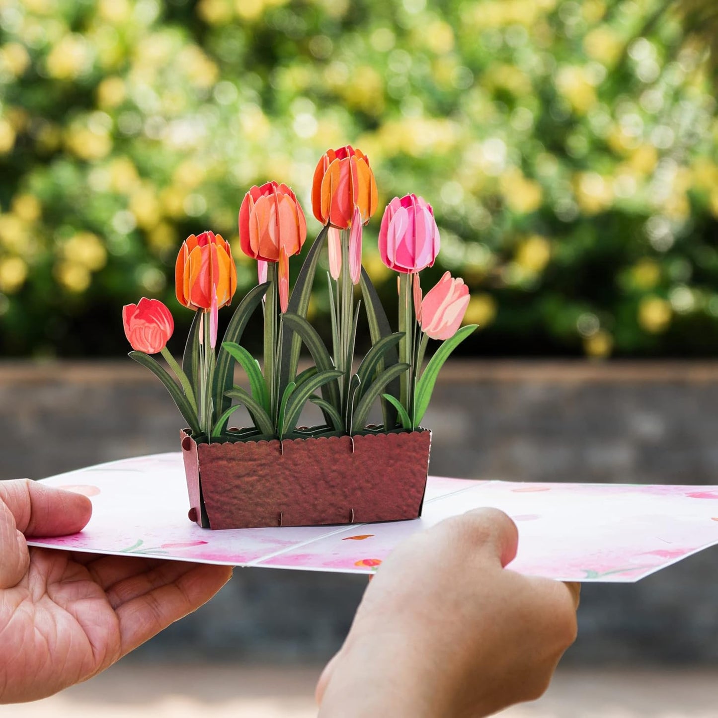Tulip Plant Pop Up Card - Frndly 8"x6"