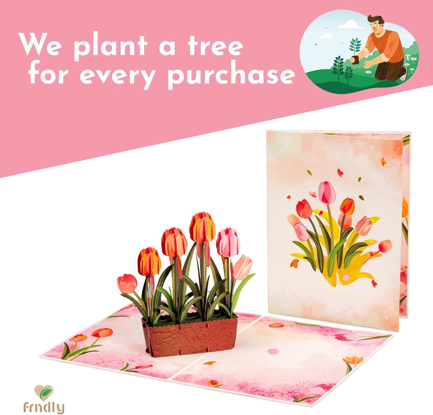 Tulip Plant Pop Up Card - Frndly 8"x6"