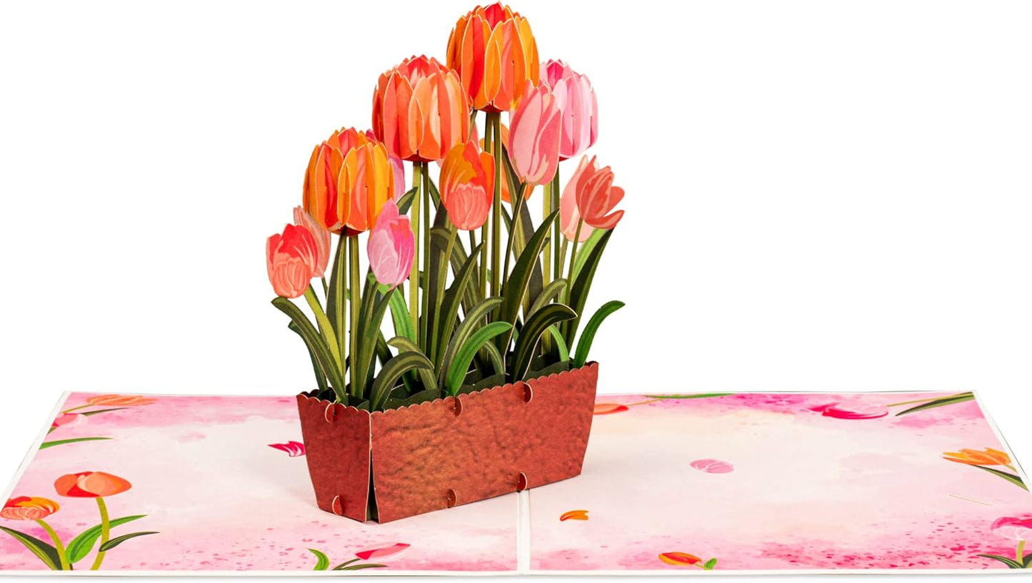 Tulip Plant Pop Up Card - Frndly 8"x6"