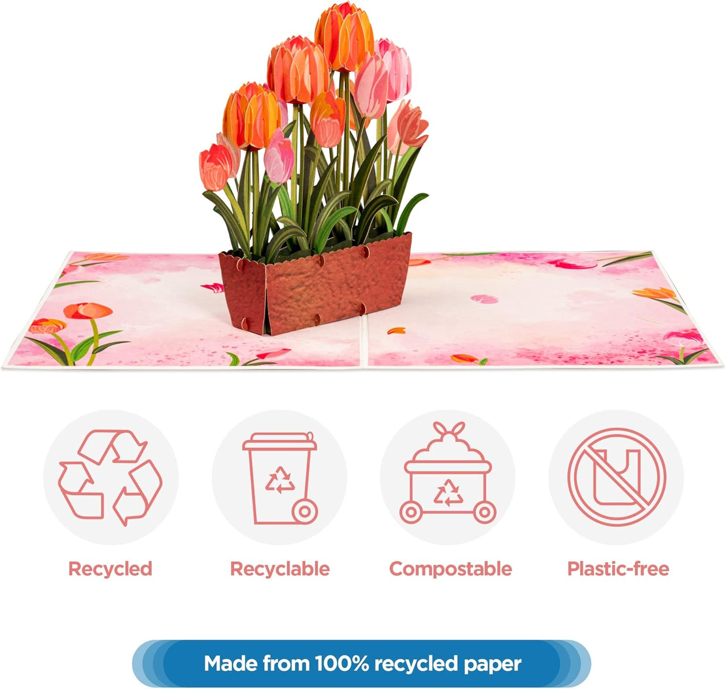 Tulip Plant Pop Up Card - Frndly 8"x6"