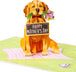 Happy Mother's Day Dog Pop Up Card - 5" x 7" - Paper Love