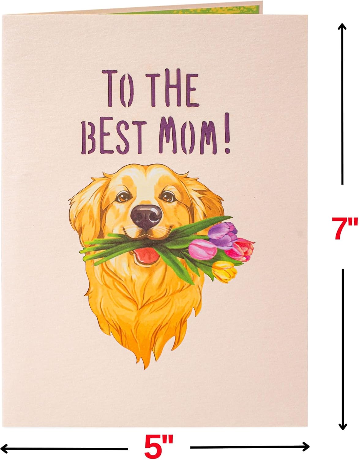 Happy Mother's Day Dog Pop Up Card - 5" x 7" - Paper Love