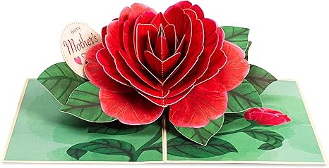 Red Camellia Pop Up Card - Paper Love
