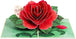 Red Camellia Pop Up Card - Paper Love