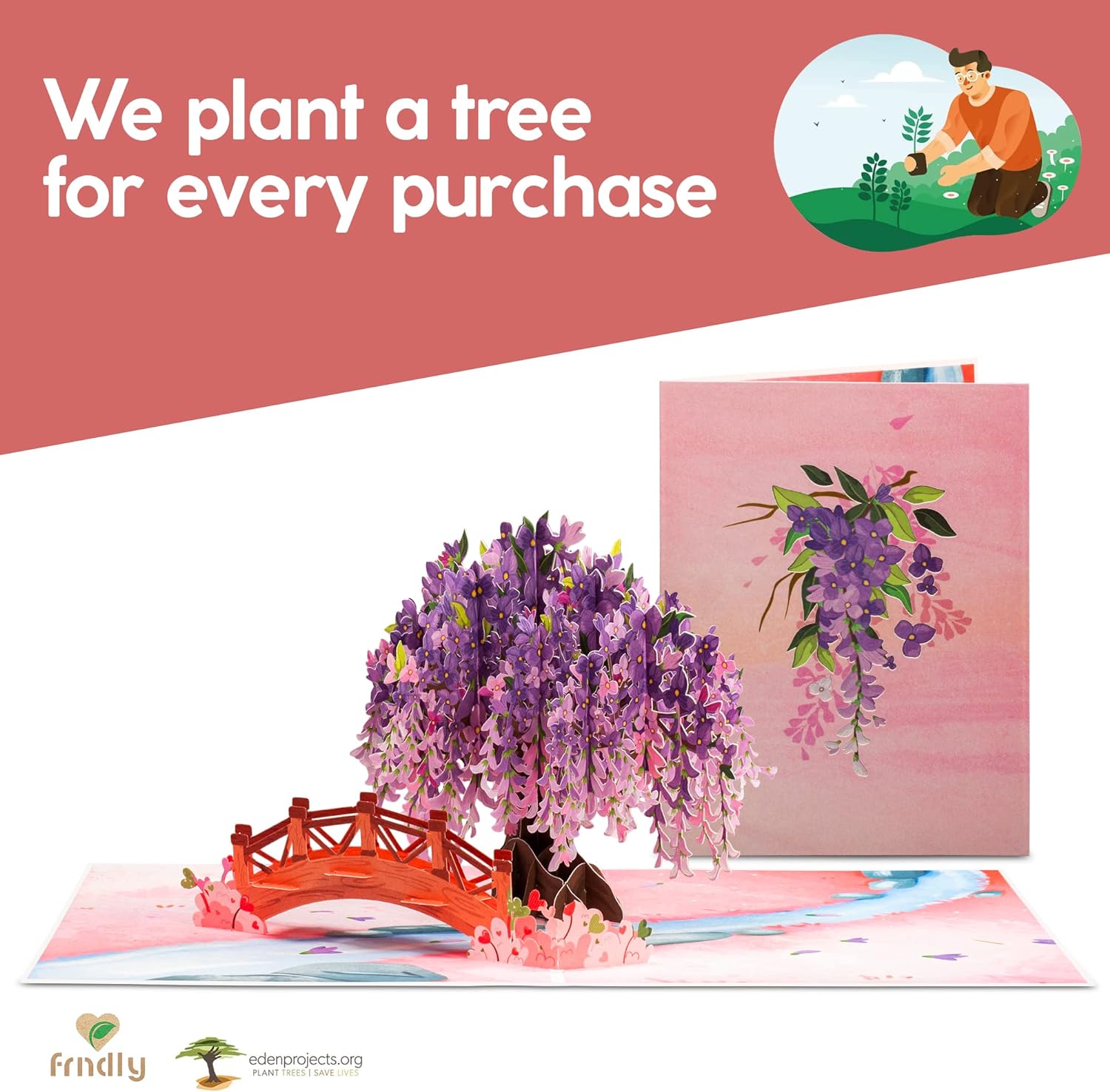Wisteria Pop Up Card - Frndly - Paper Love