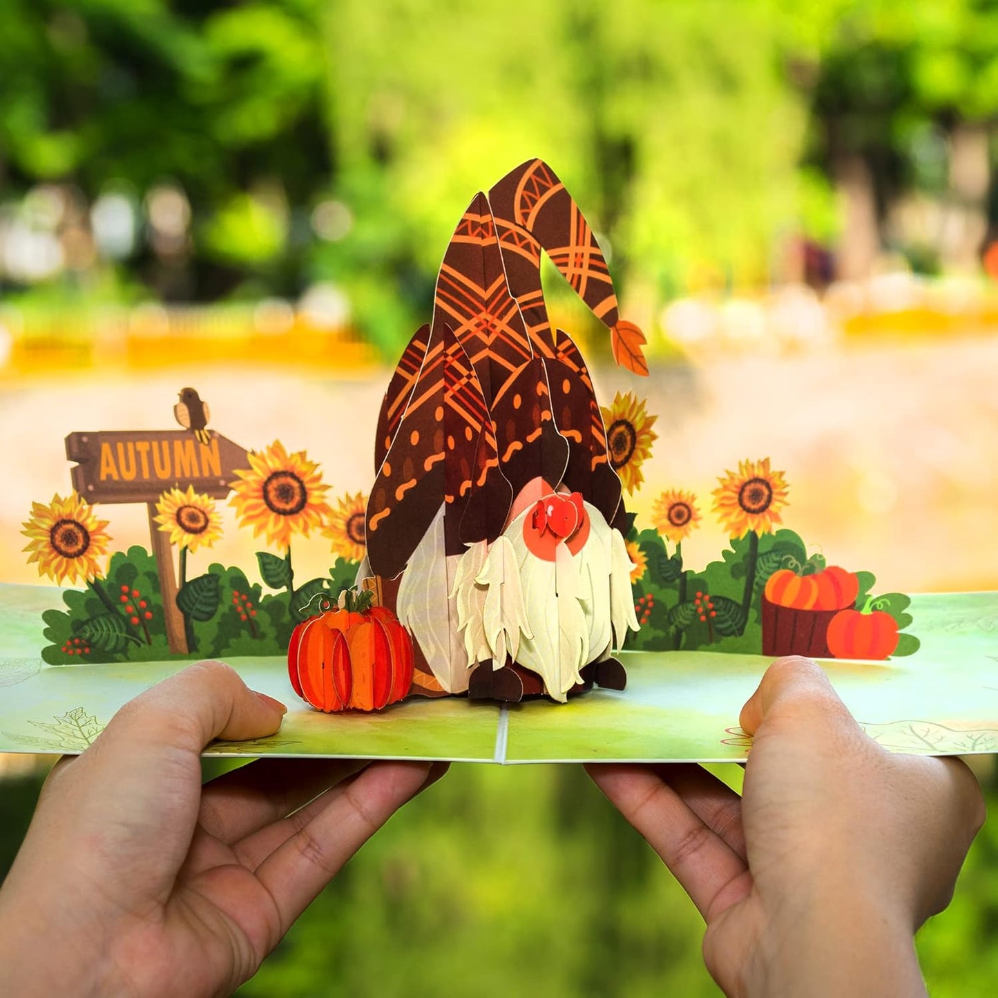 Autumn Gnome Frndly Pop Up Card