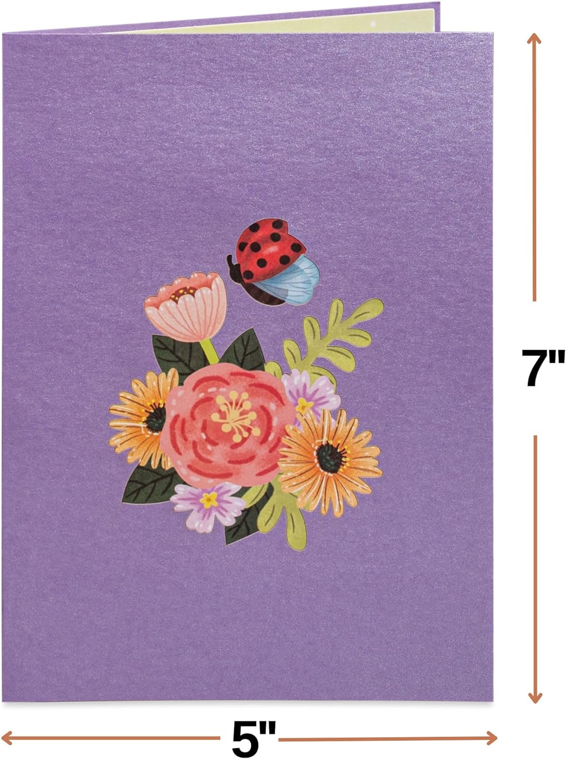 Thinking Of You Pop Up Card - Paper Love