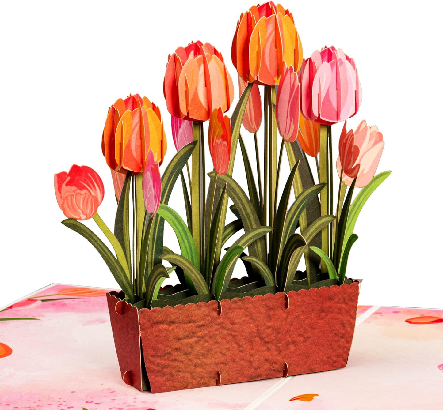 Tulip Plant Pop Up Card - Frndly 8"x6"