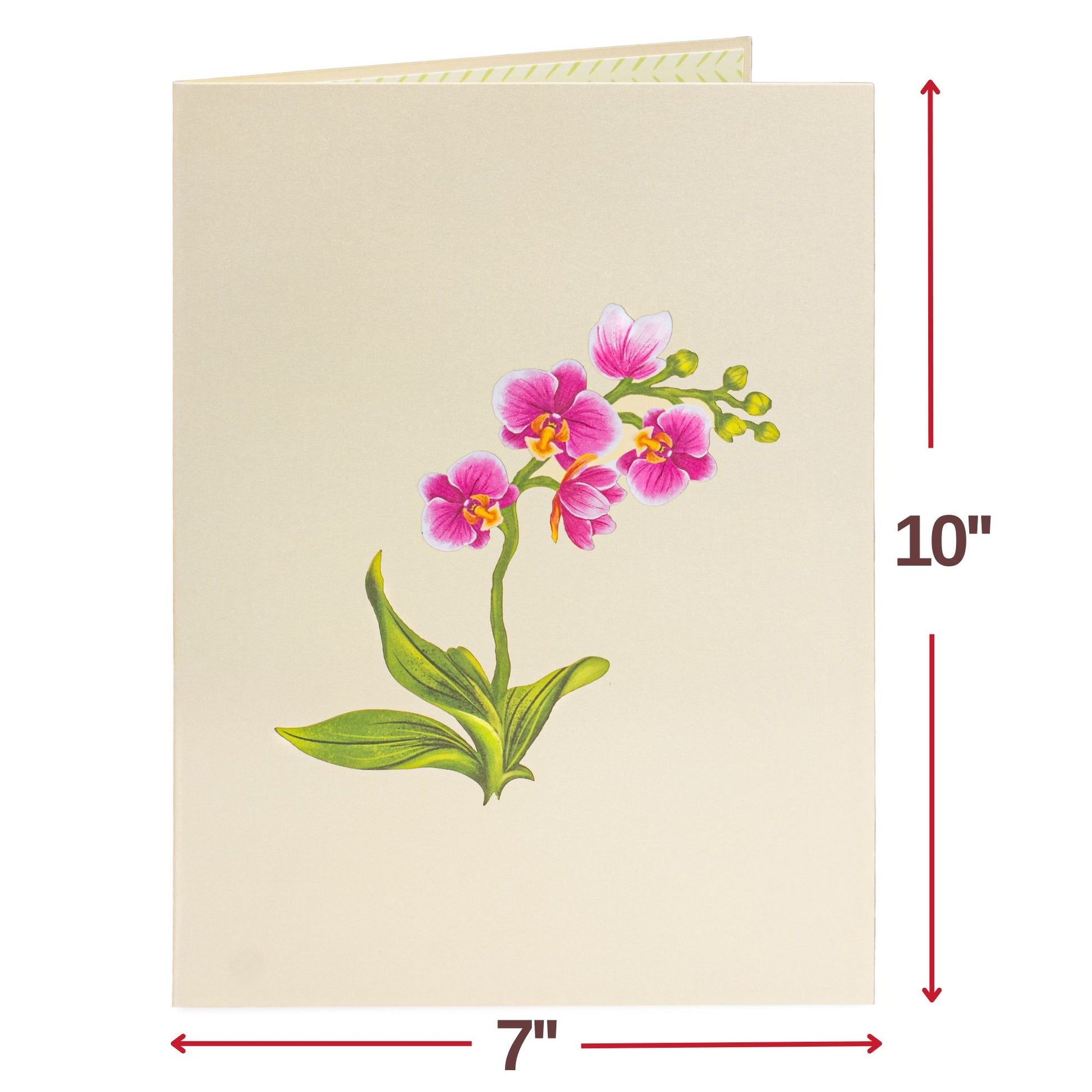 Orchid Flower Bouquet Pop-Up Card with Keepsake - Paper Love