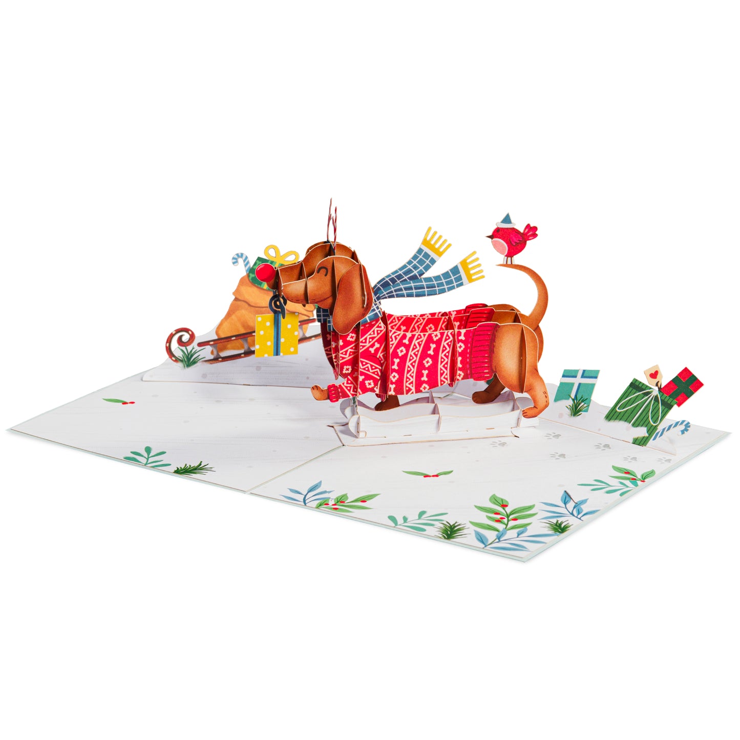 Woofy Christmas Pop Up Card, with Keepsake - Paper Love