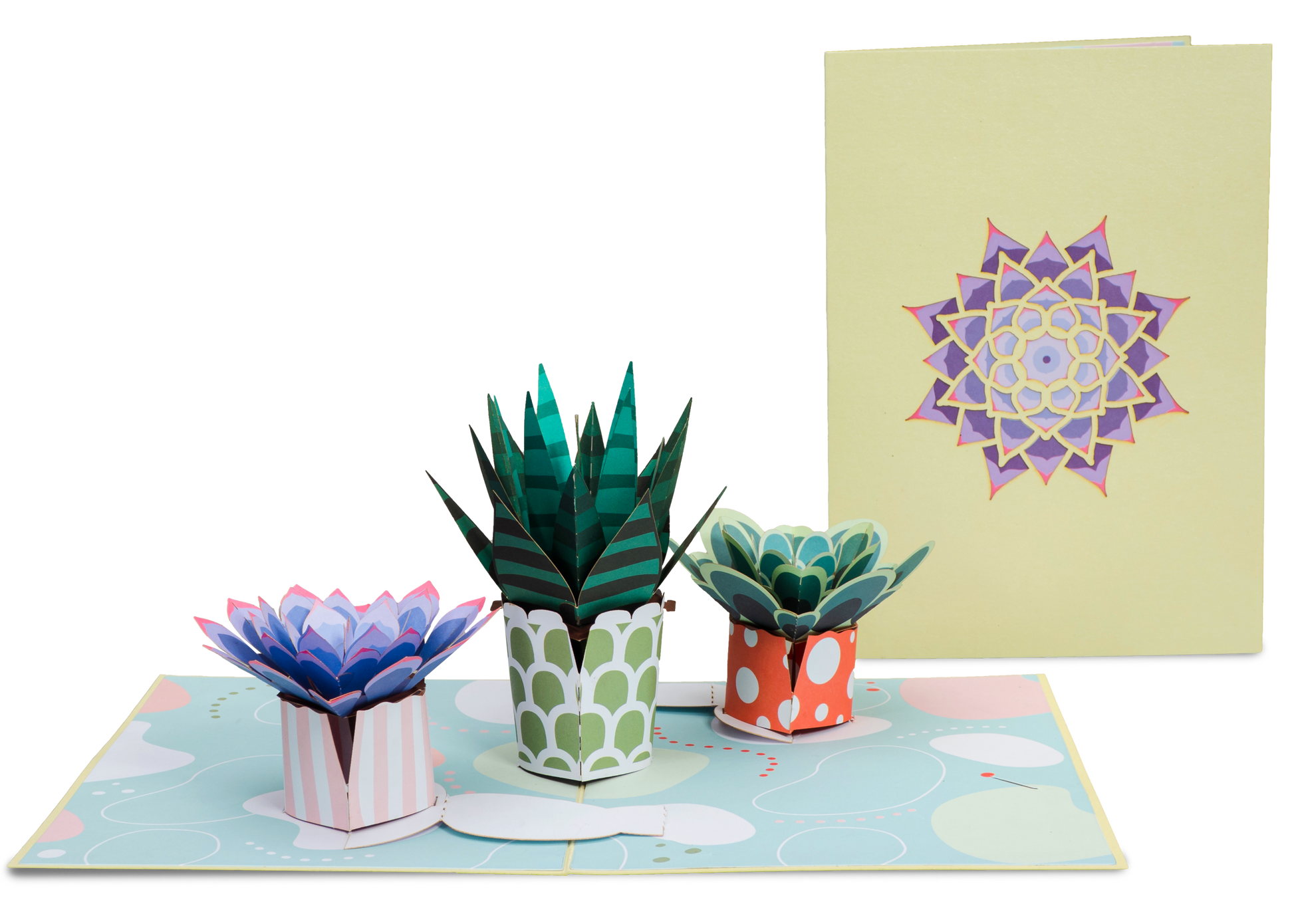 Succulent 5-Pack Bundle Pop Up Cards - Paper Love
