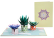 Succulent 5-Pack Bundle Pop Up Cards - Paper Love