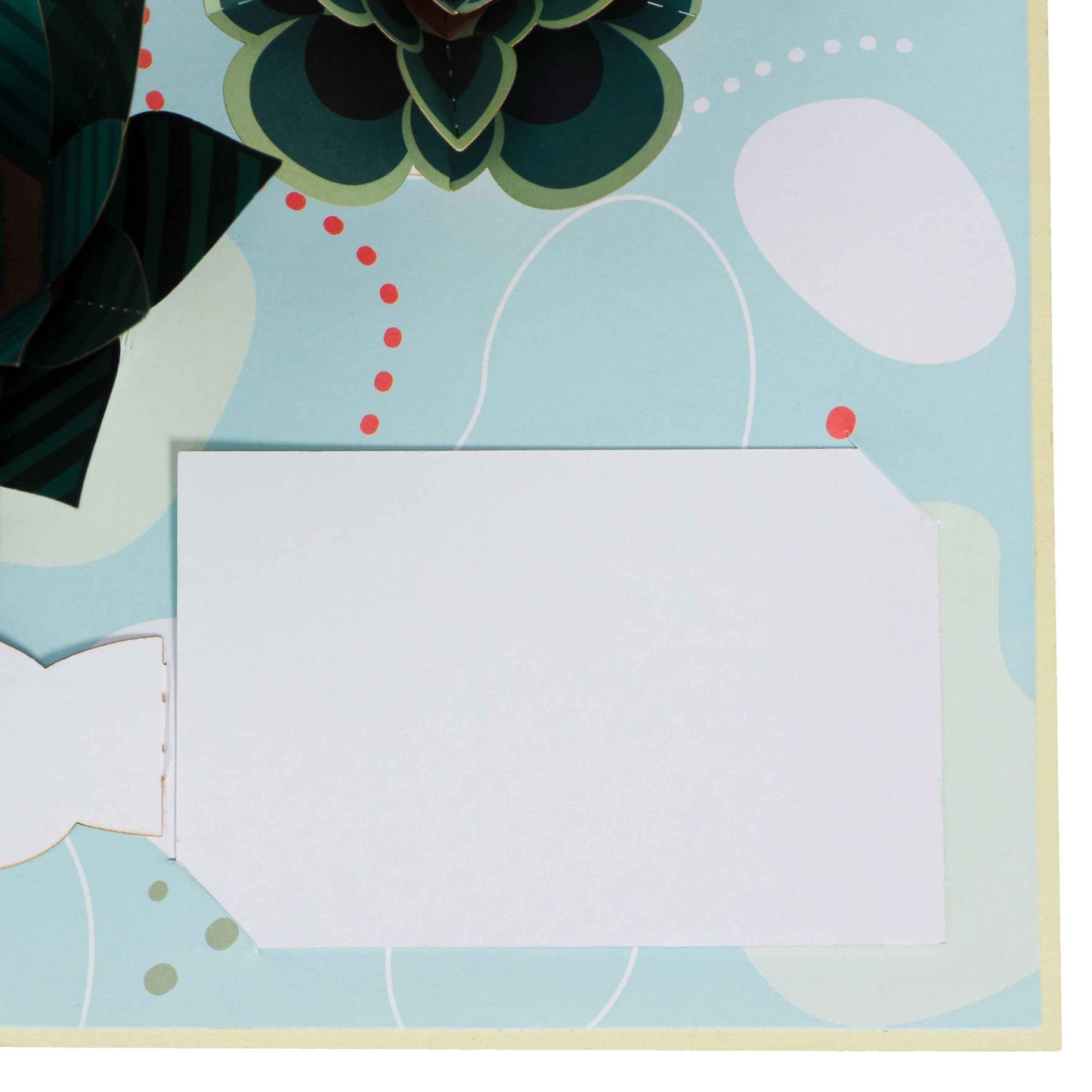 Paper Love Pop Up Cards - Succulent 5-Pack Bundle Pop Up Cards