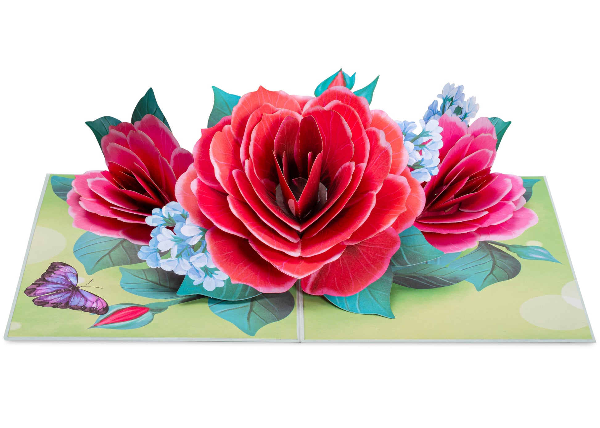 Red Rose Pop Up Card - Paper Love