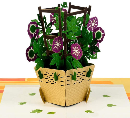Morning Glory Pop Up Card - Paper Love
