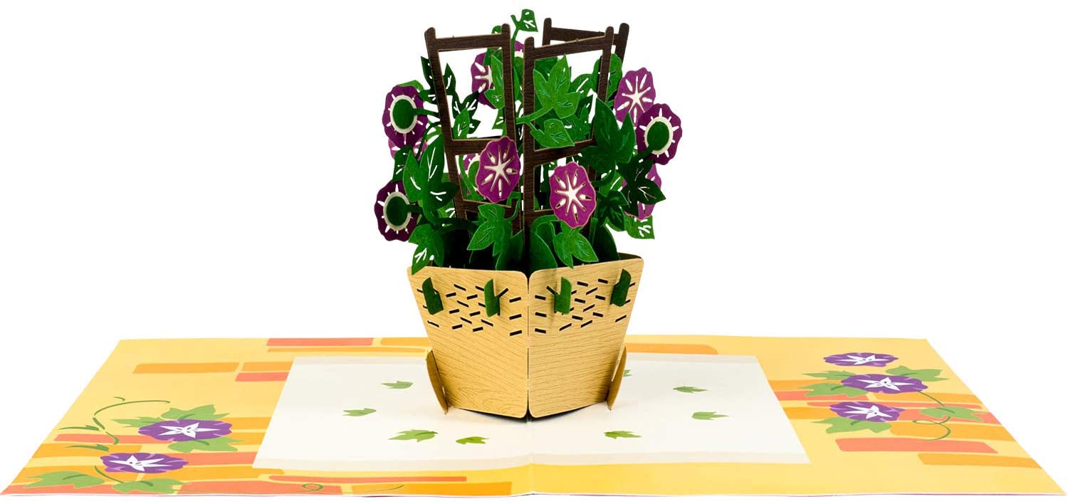 Morning Glory Pop Up Card - Paper Love