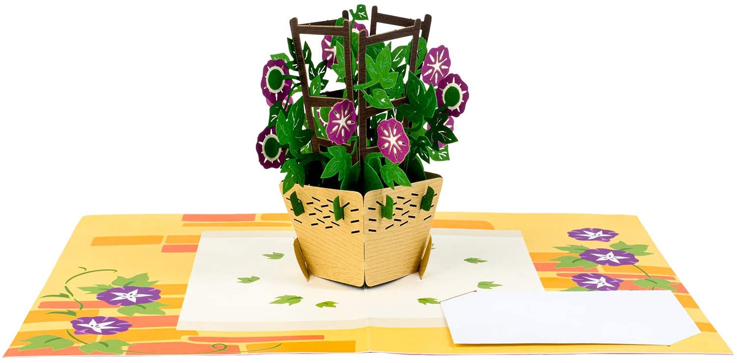 Morning Glory Pop Up Card - Paper Love