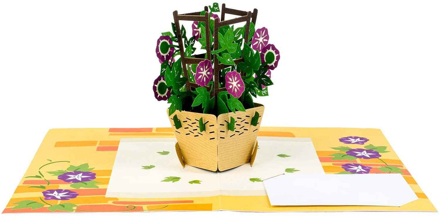 Paper Love Pop Up Cards - Morning Glory Pop Up Card