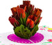 Tulip Bouquet Pop Up Card - Paper Love