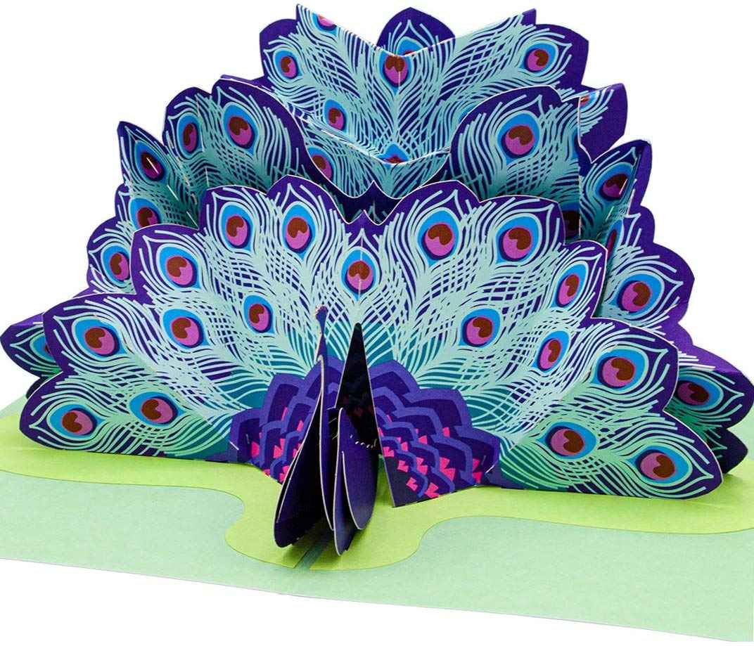 Paper Love Pop Up Cards - Peacock Pop Up Card