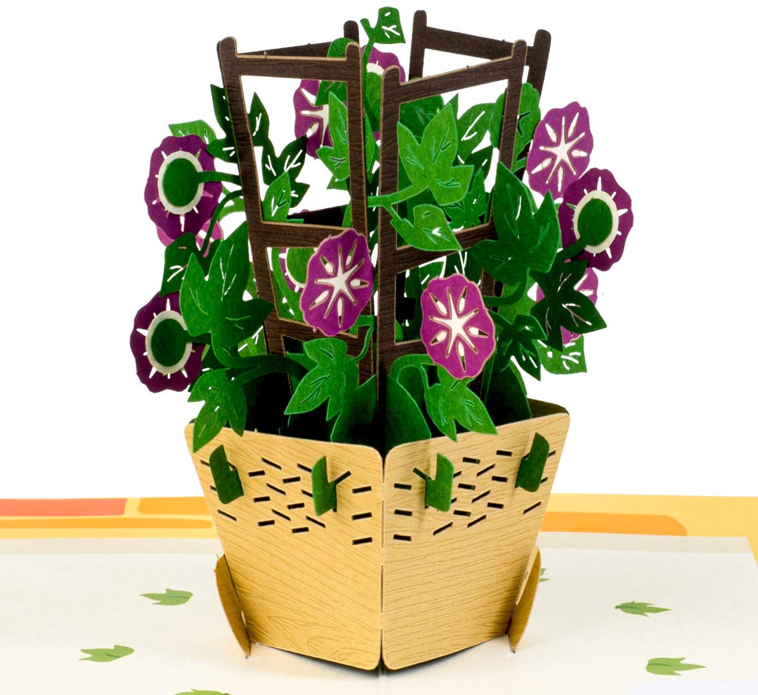 Morning Glory Pop Up Card - Paper Love