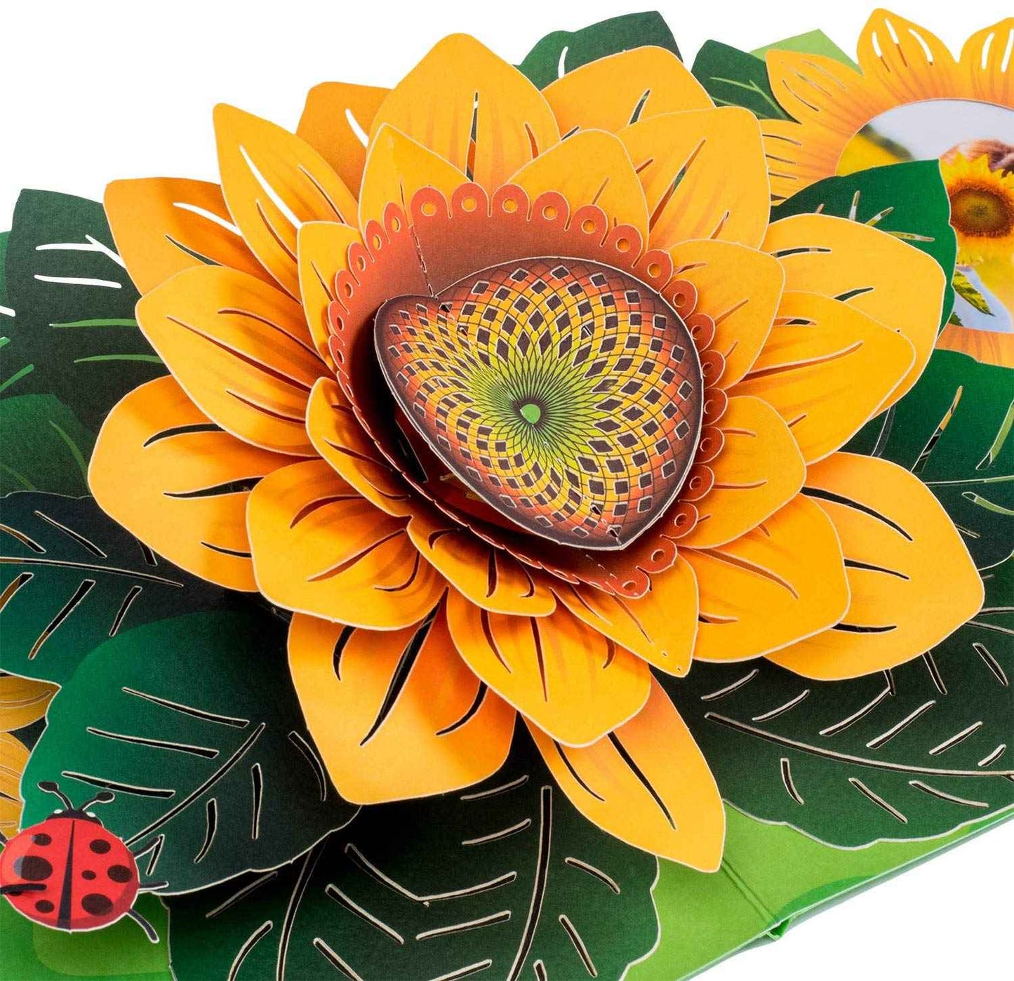Paper Love Pop Up Cards - Sunflower Pop Up Card