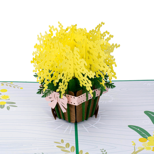 Mimosa Pop Up Card - Paper Love
