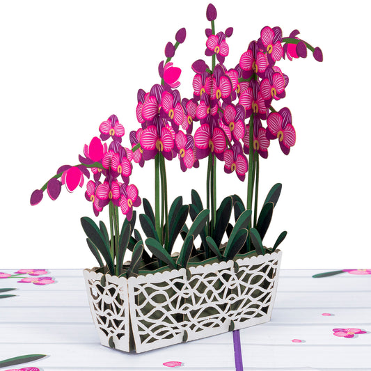Orchids Pop Up Card - Paper Love
