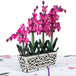 Orchids Pop Up Card - Paper Love