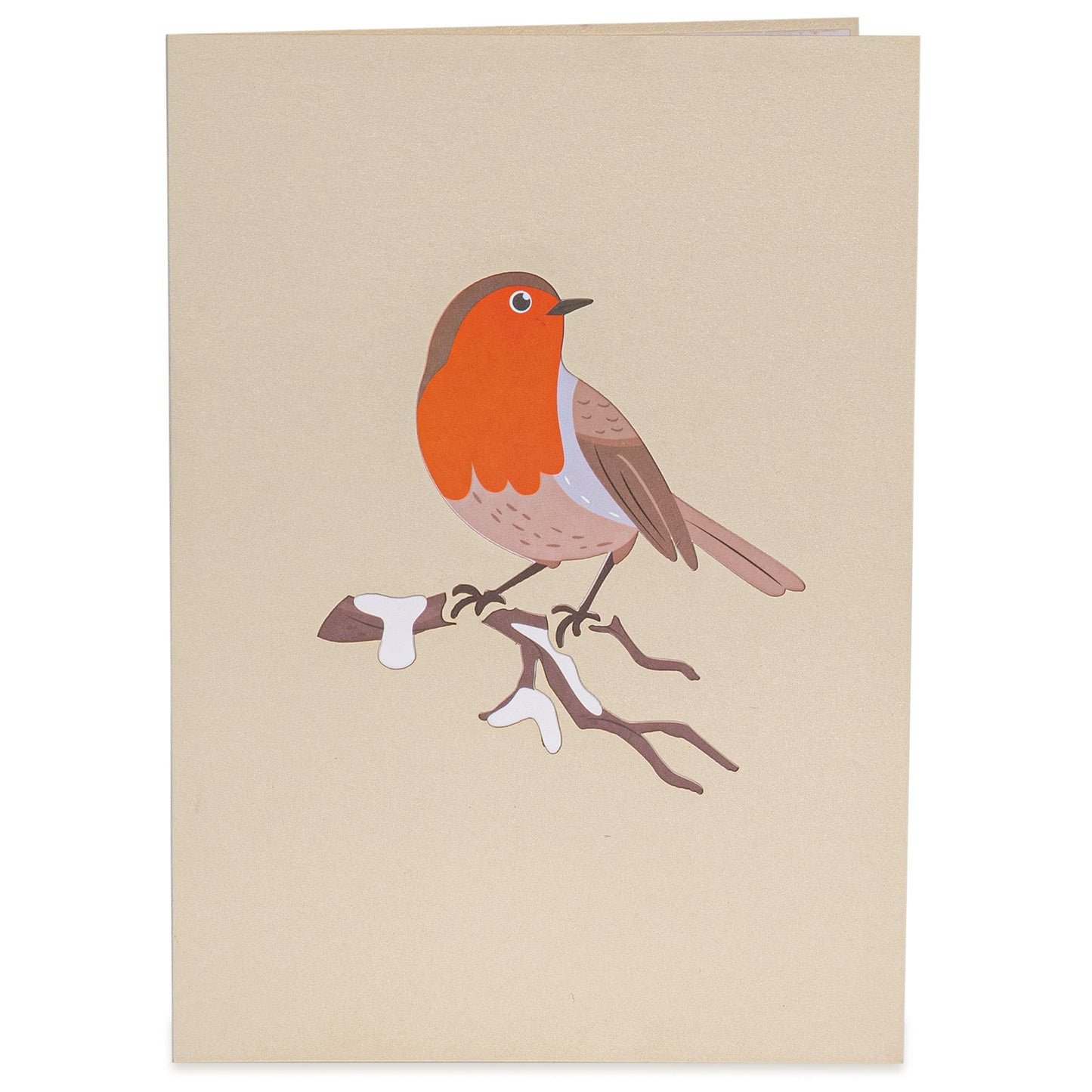 Robin Pop Up Card