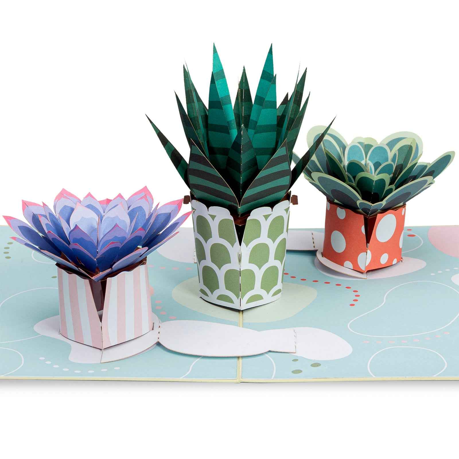 succulent pop up card Succulents Pop Up Card
