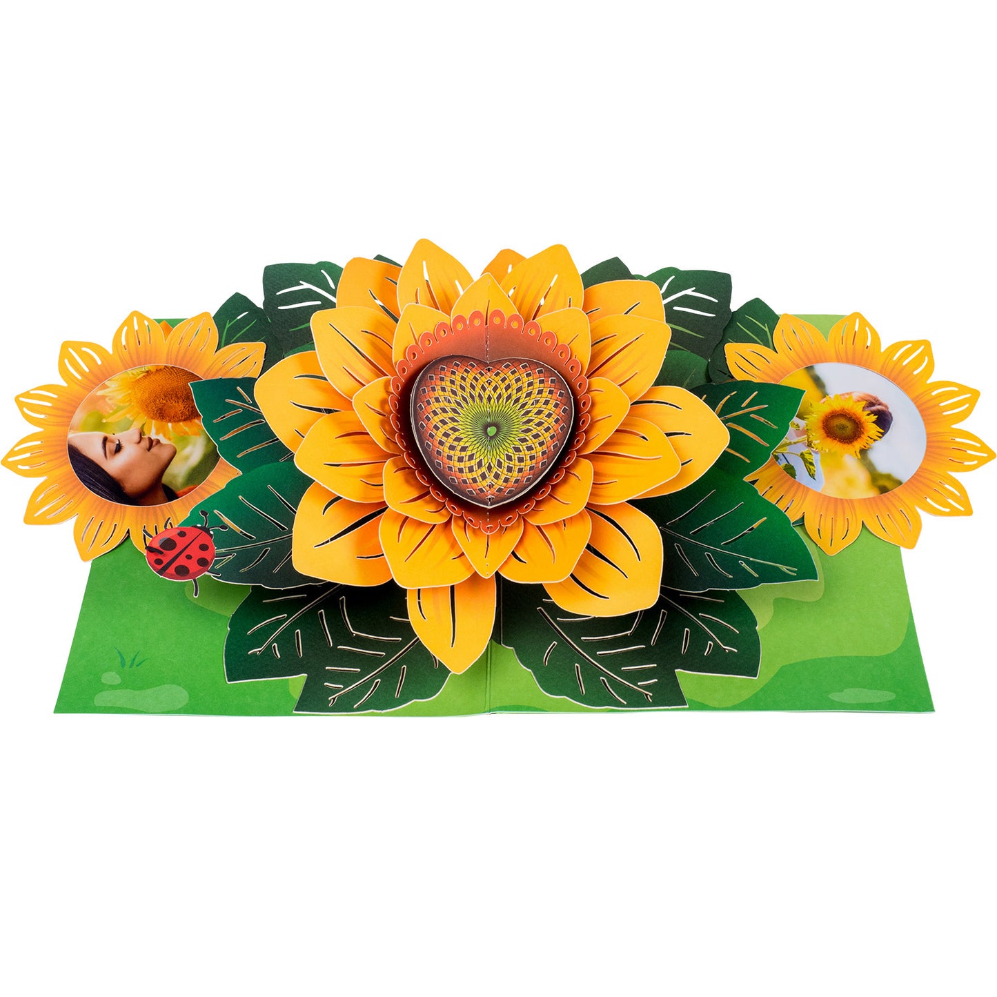 Sunflower Pop Up Card - Paper Love