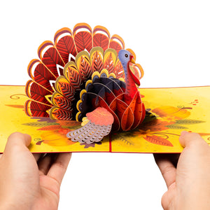 Thanksgiving Turkey Pop Up Card