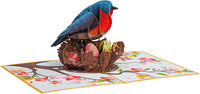 Thumbnail for Love Birds 5-Pack Bundle Pop Up Cards