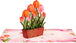 Tulip Plant Pop Up Card - Frndly 8"x6"