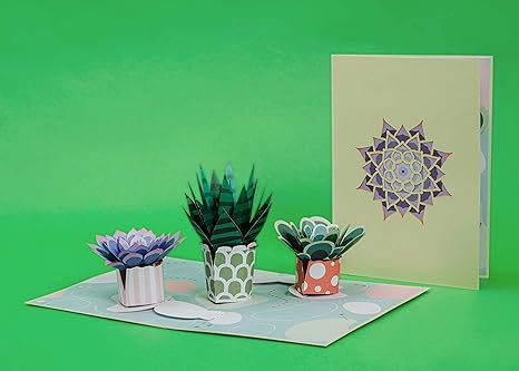 Succulents Pop Up Card