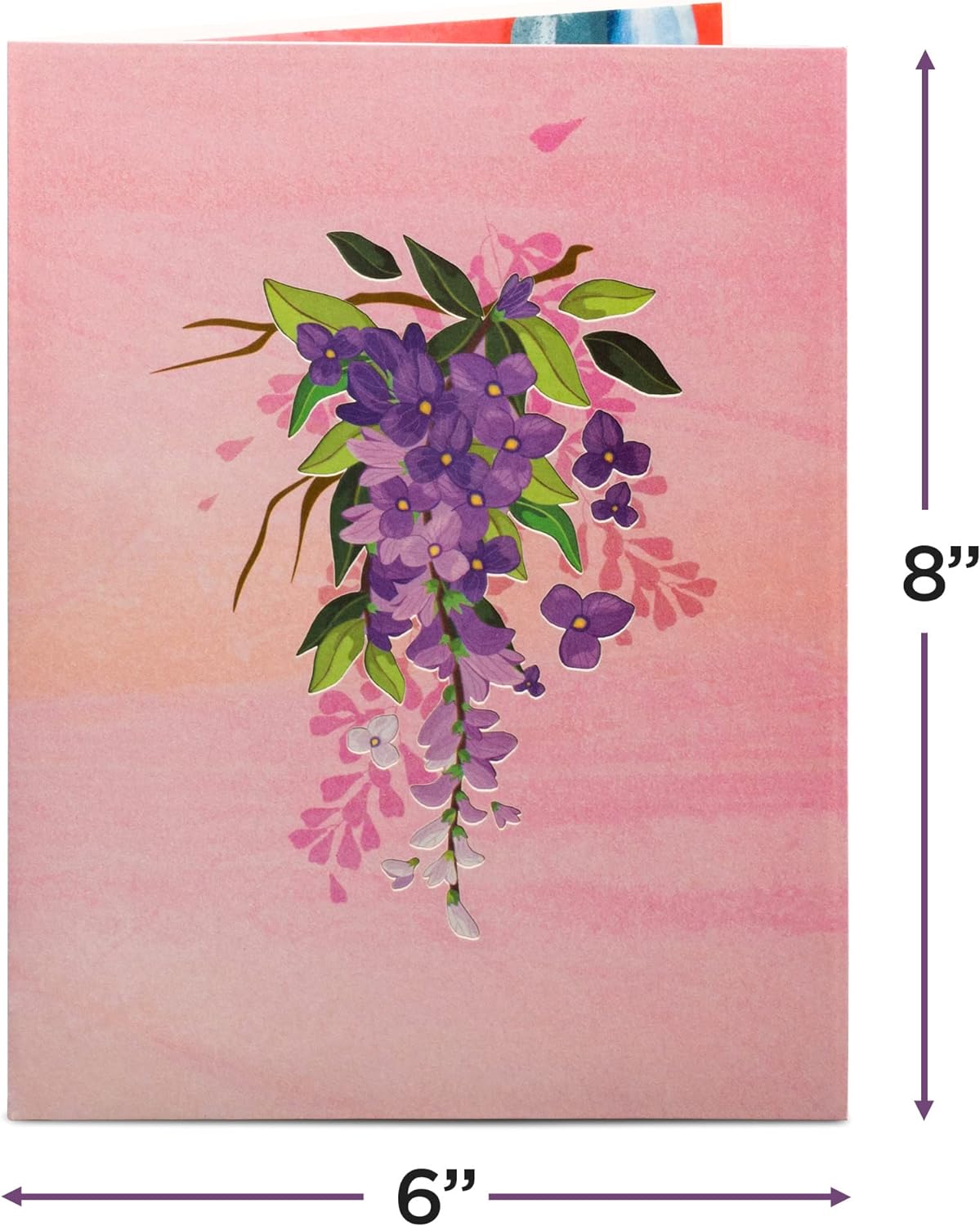 Wisteria Pop Up Card - Frndly