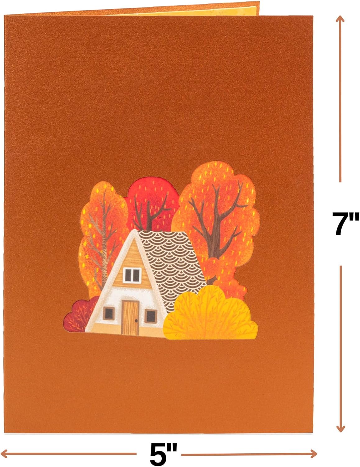 Fall Foliage Popup Card