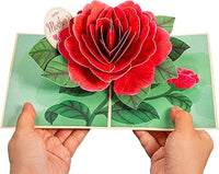 Thumbnail for Red Camellia Pop Up Card