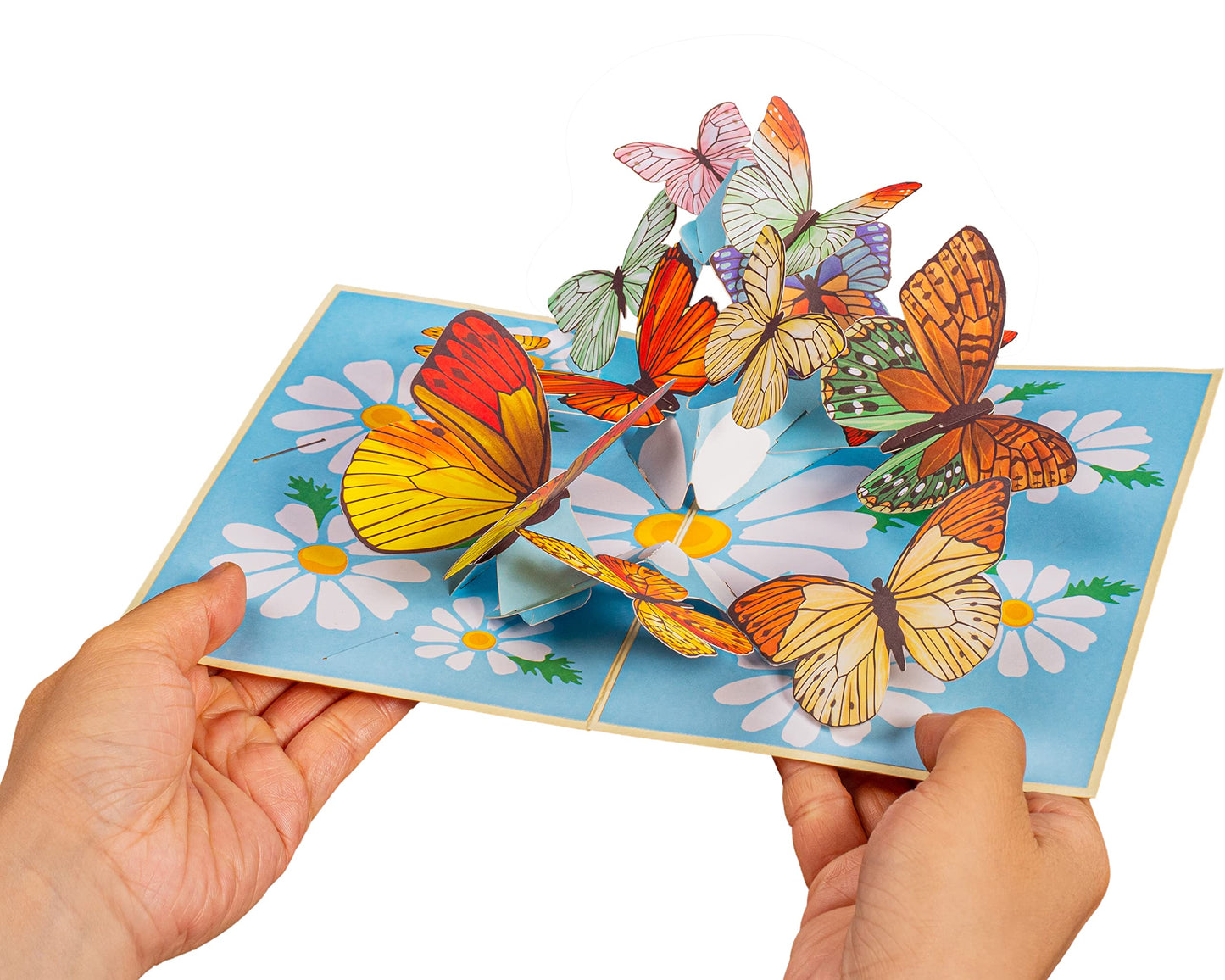 Hands holding a pop-up card featuring colorful butterflies and flowers.