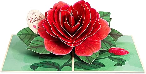 Red Camellia Pop Up Card