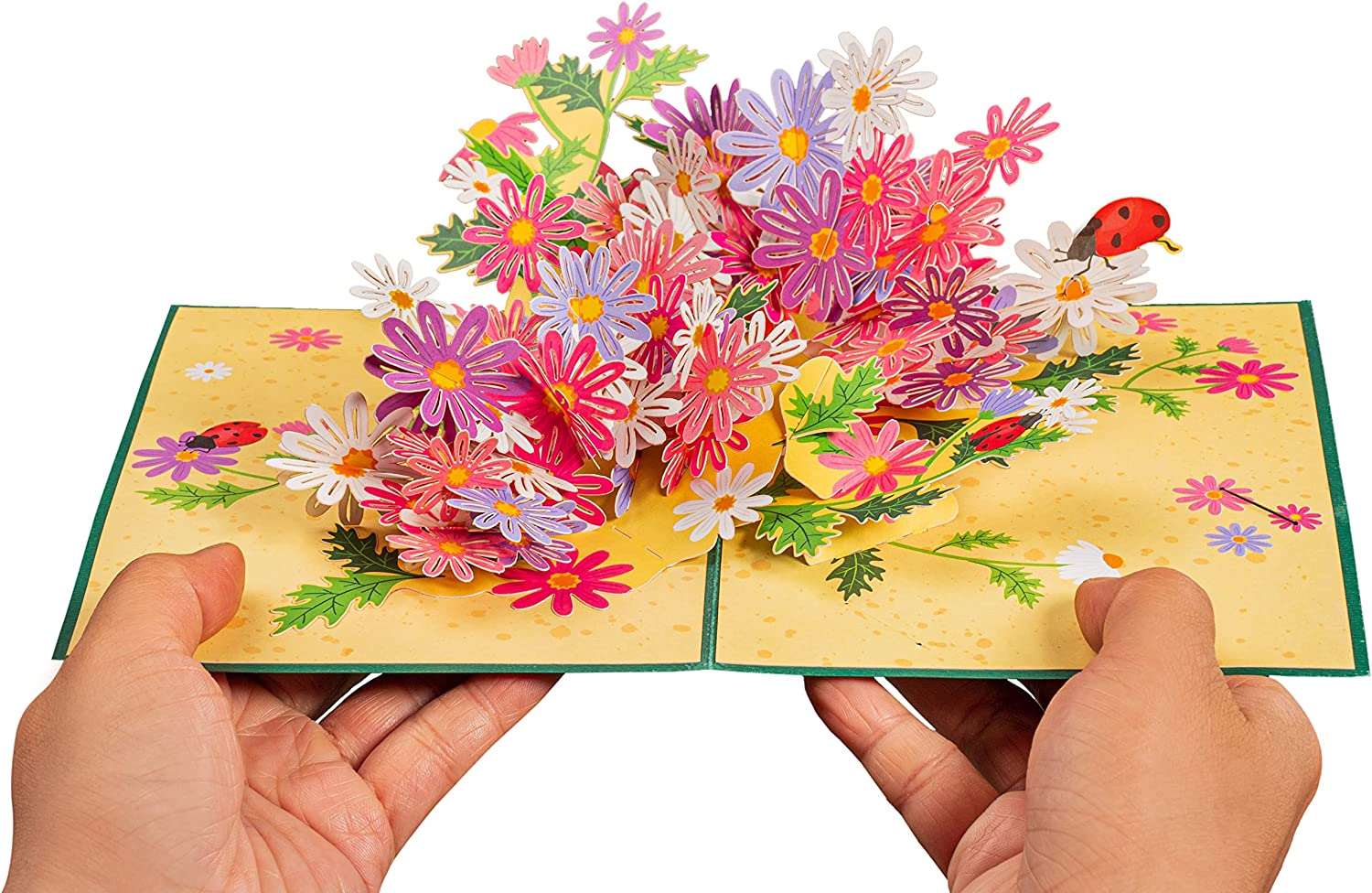 Daisies Pop Up Card - Pop of Art