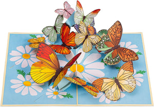 Butterfly 5-Pack Bundle Pop Up Cards