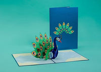 Thumbnail for Peacock Pop Up Card