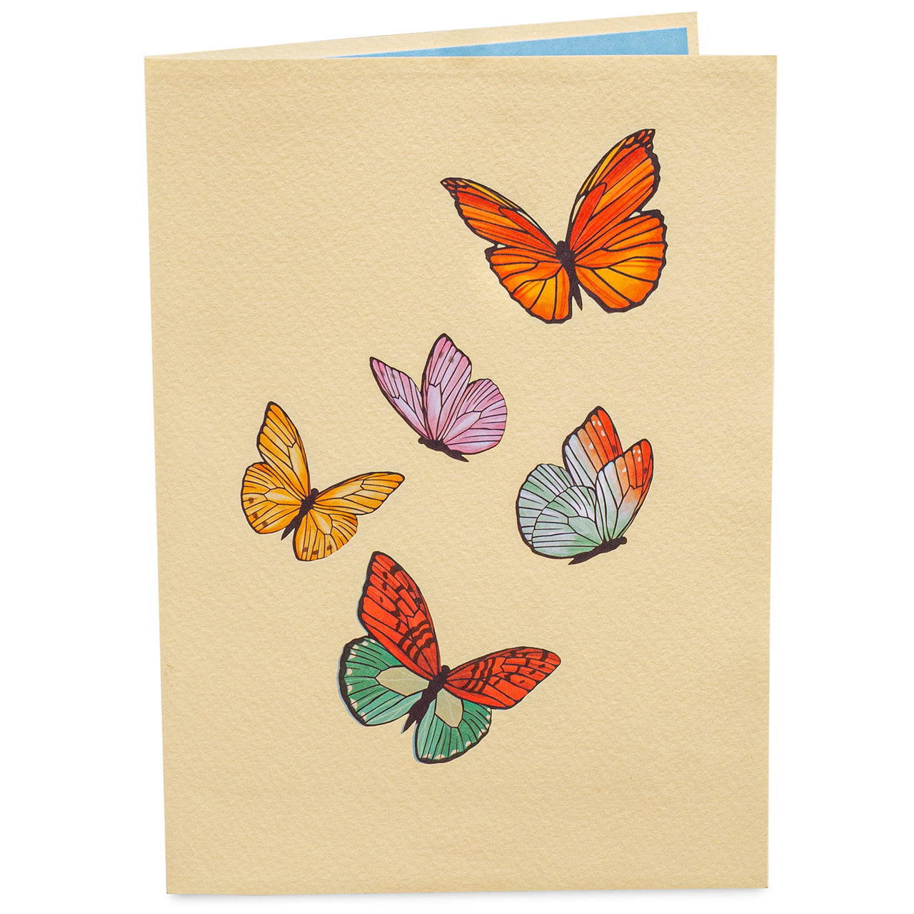 Spring Butterflies - Pop of Art