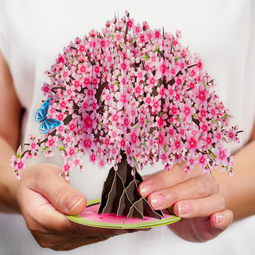 Cherry Blossom Tree Pop Up Card With Detachable Popup Keepsake - Oversized 10
