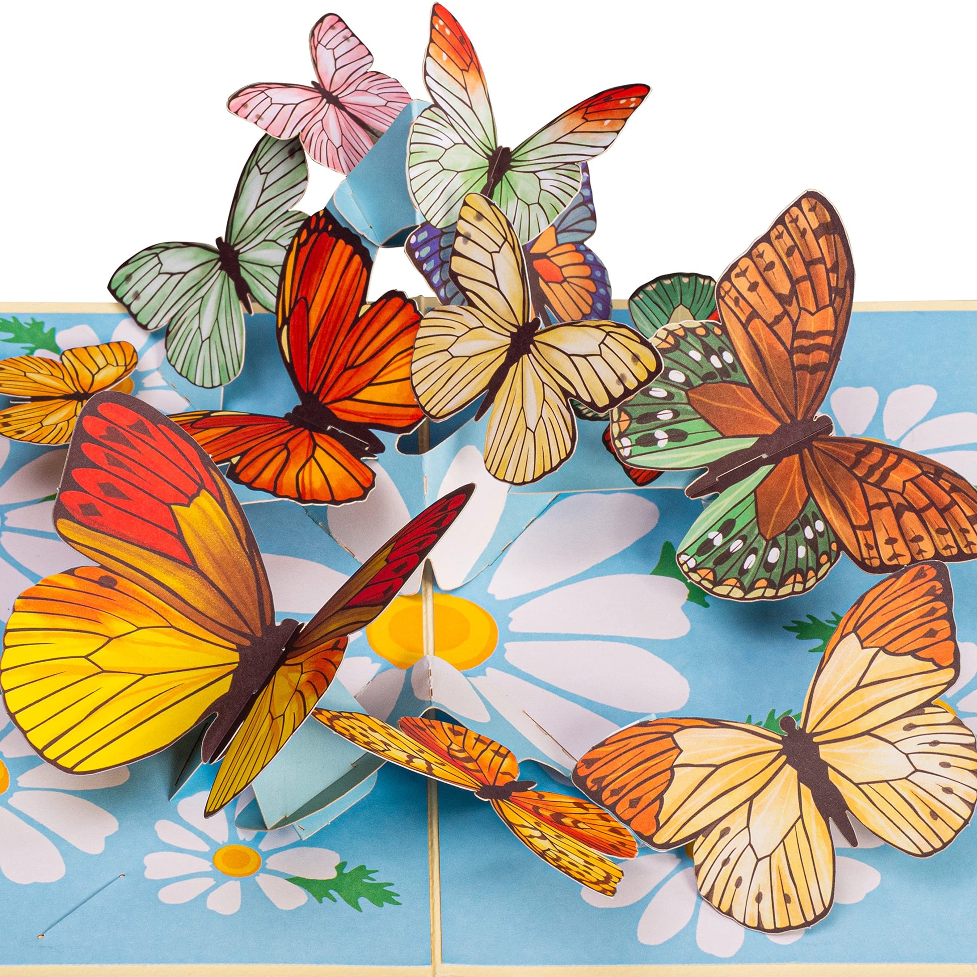 Pop-up greeting card with vibrant spring butterflies and daisies.